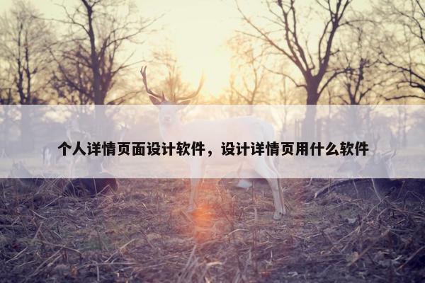 个人详情页面设计软件，设计详情页用什么软件