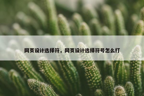 网页设计选择符，网页设计选择符号怎么打
