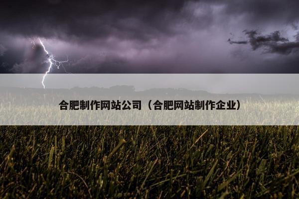 合肥制作网站公司（合肥网站制作企业）