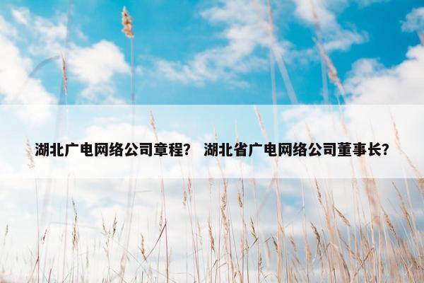 湖北广电网络公司章程？ 湖北省广电网络公司董事长？