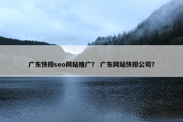 广东快排seo网站推广？ 广东网站快排公司？