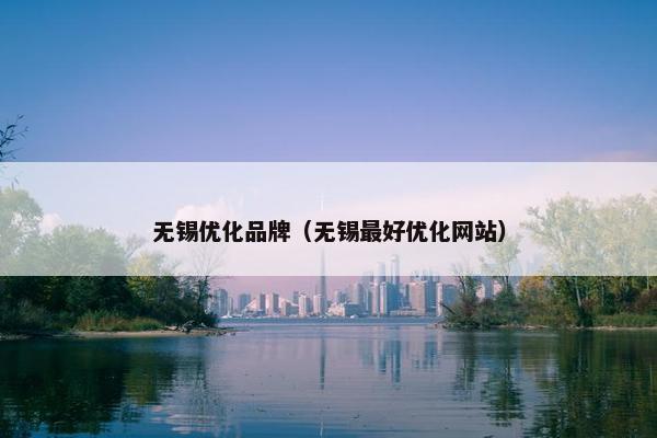 无锡优化品牌（无锡最好优化网站）