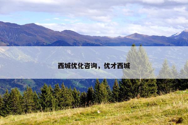 西城优化咨询，优才西城