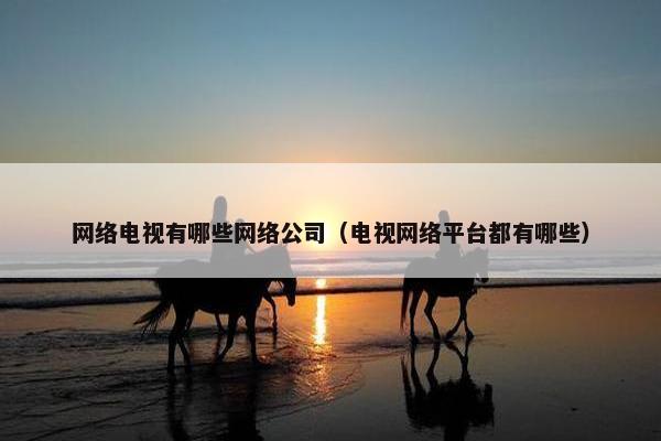 网络电视有哪些网络公司（电视网络平台都有哪些）