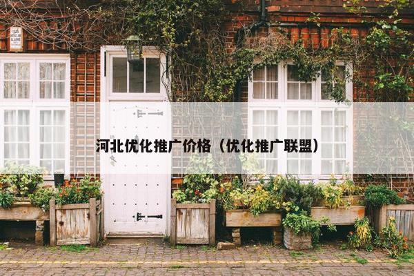 河北优化推广价格（优化推广联盟）