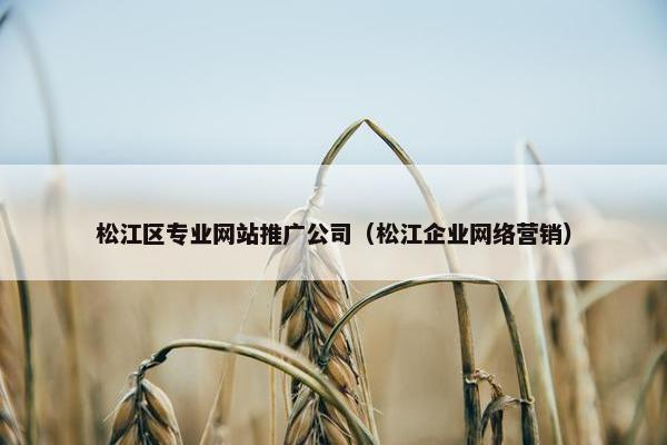 松江区专业网站推广公司（松江企业网络营销）