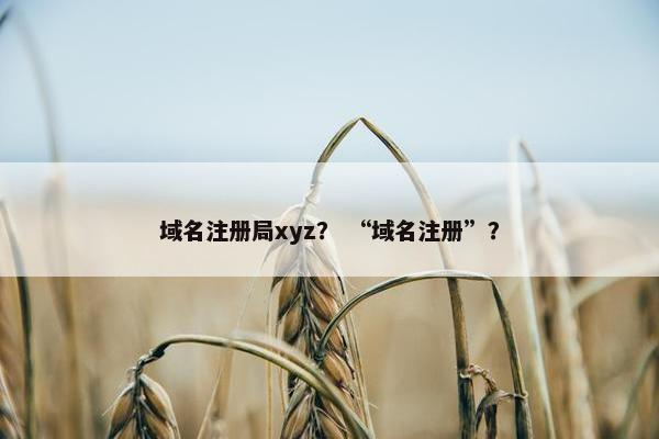 域名注册局xyz？ “域名注册”？