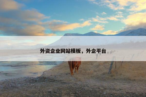 外资企业网站模板，外企平台