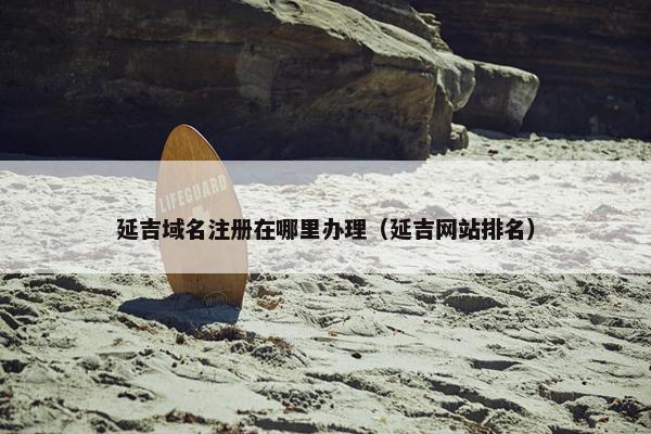 延吉域名注册在哪里办理（延吉网站排名）