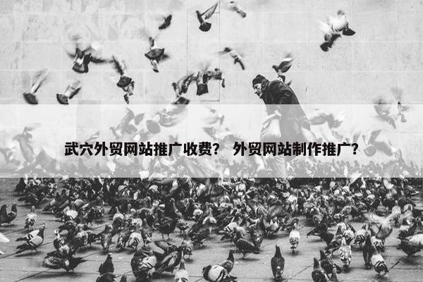 武穴外贸网站推广收费？ 外贸网站制作推广？