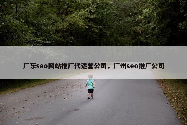 广东seo网站推广代运营公司，广州seo推广公司