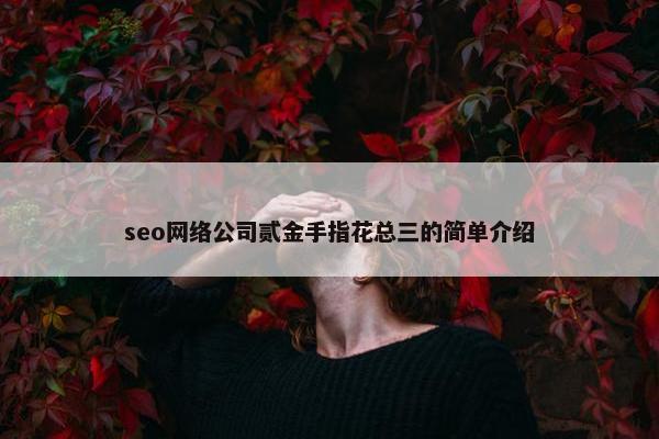 seo网络公司贰金手指花总三的简单介绍