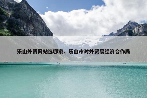 乐山外贸网站选哪家，乐山市对外贸易经济合作局