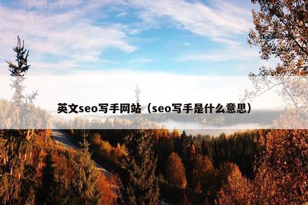 英文seo写手网站（seo写手是什么意思）