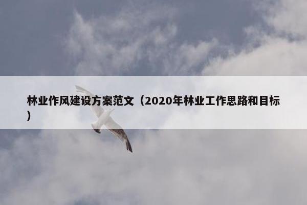 林业作风建设方案范文（2020年林业工作思路和目标）