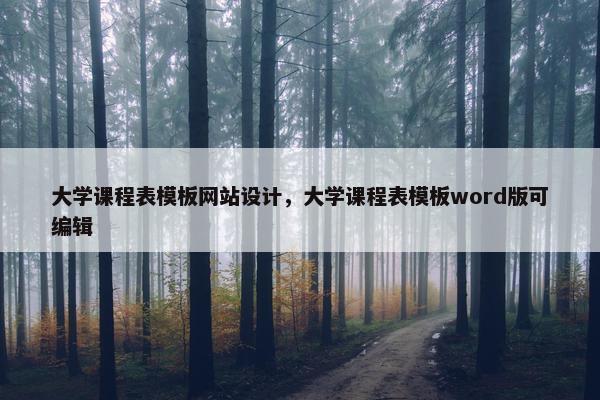 大学课程表模板网站设计，大学课程表模板word版可编辑
