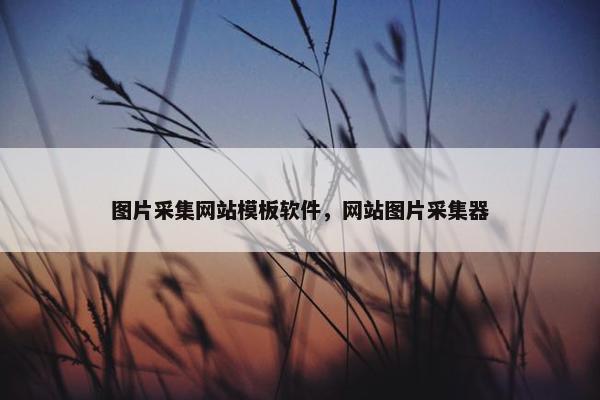 图片采集网站模板软件，网站图片采集器