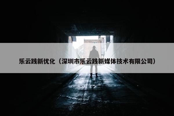 乐云践新优化（深圳市乐云践新媒体技术有限公司）