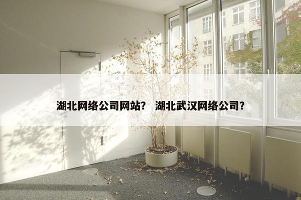 湖北网络公司网站？ 湖北武汉网络公司？