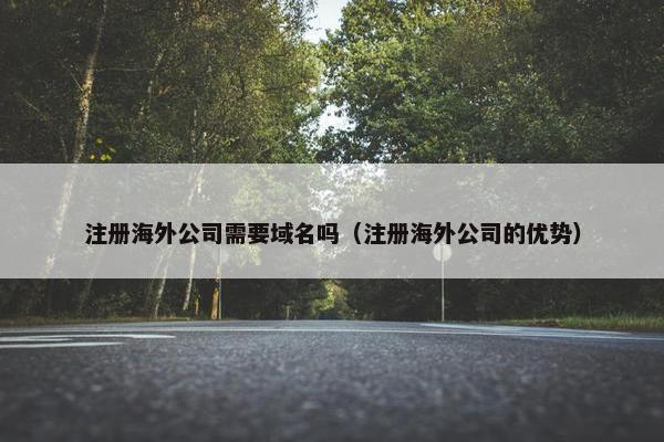注册海外公司需要域名吗（注册海外公司的优势）