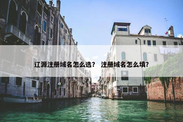 辽源注册域名怎么选？ 注册域名怎么填？