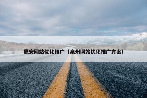 惠安网站优化推广（泉州网站优化推广方案）