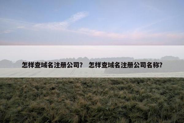 怎样查域名注册公司？ 怎样查域名注册公司名称？