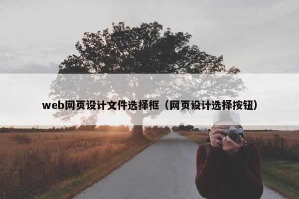 web网页设计文件选择框（网页设计选择按钮）
