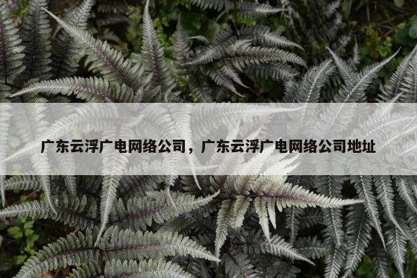 广东云浮广电网络公司，广东云浮广电网络公司地址