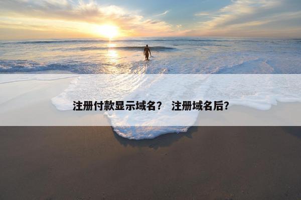 注册付款显示域名？ 注册域名后？