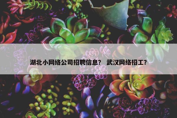 湖北小网络公司招聘信息？ 武汉网络招工？
