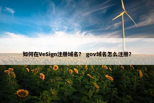 如何在VeSign注册域名？ gov域名怎么注册？