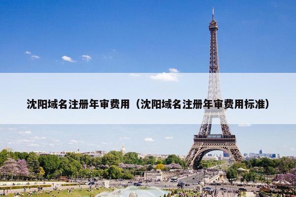 沈阳域名注册年审费用（沈阳域名注册年审费用标准）