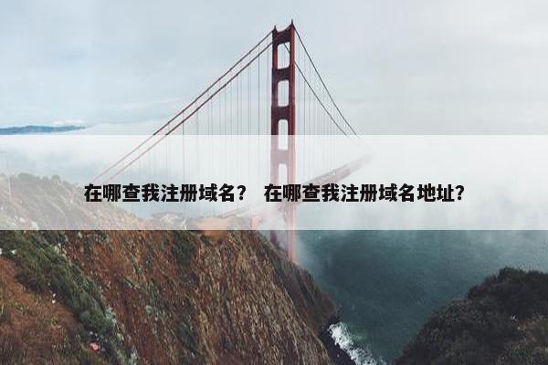 在哪查我注册域名？ 在哪查我注册域名地址？