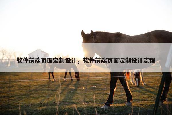 软件前端页面定制设计，软件前端页面定制设计流程