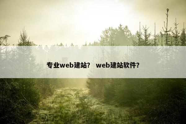 专业web建站？ web建站软件？