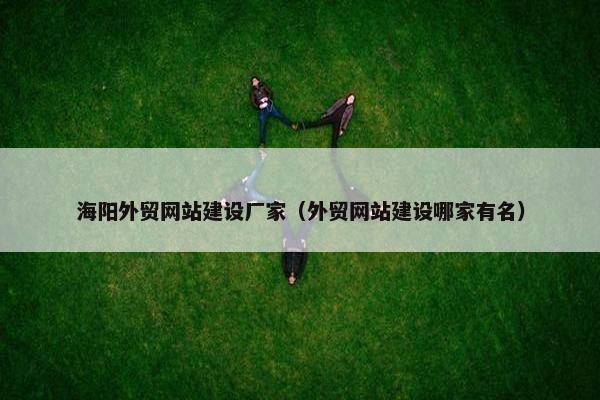 海阳外贸网站建设厂家（外贸网站建设哪家有名）
