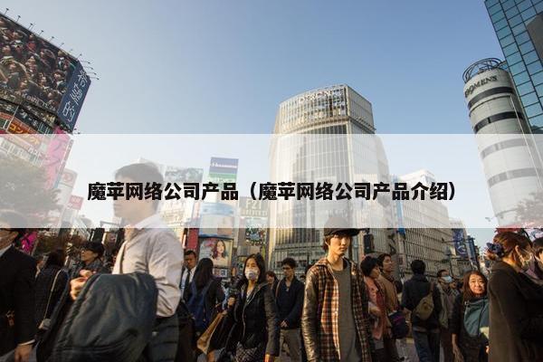 魔苹网络公司产品（魔苹网络公司产品介绍）