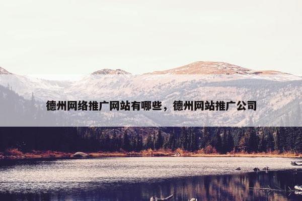 德州网络推广网站有哪些，德州网站推广公司
