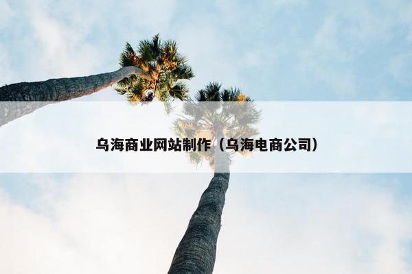 乌海商业网站制作（乌海电商公司）