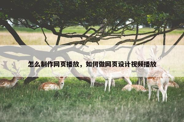怎么制作网页播放，如何做网页设计视频播放