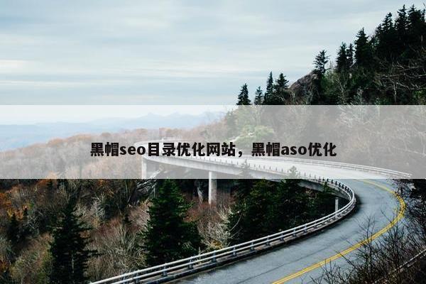 黑帽seo目录优化网站，黑帽aso优化