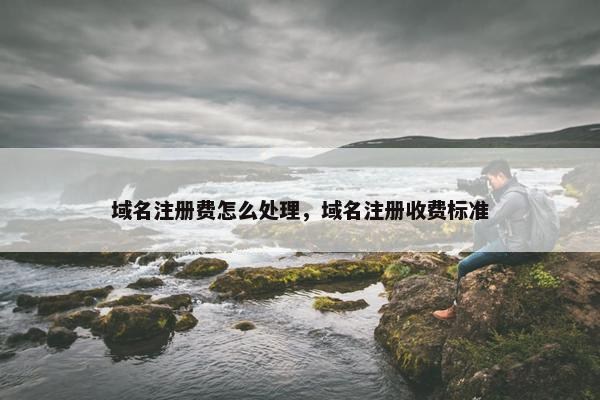域名注册费怎么处理，域名注册收费标准