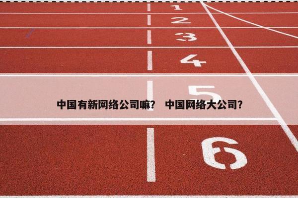 中国有新网络公司嘛？ 中国网络大公司？