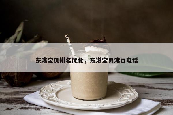 东港宝贝排名优化，东港宝贝渡口电话