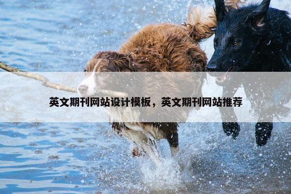 英文期刊网站设计模板，英文期刊网站推荐
