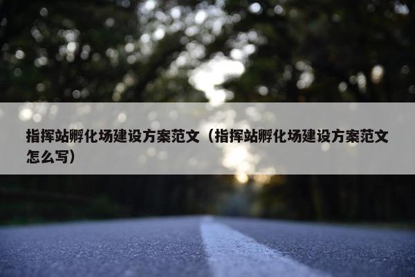 指挥站孵化场建设方案范文（指挥站孵化场建设方案范文怎么写）