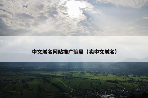 中文域名网站推广骗局（卖中文域名）