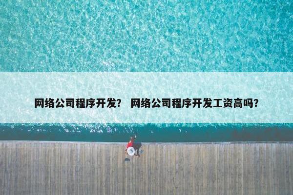 网络公司程序开发？ 网络公司程序开发工资高吗？