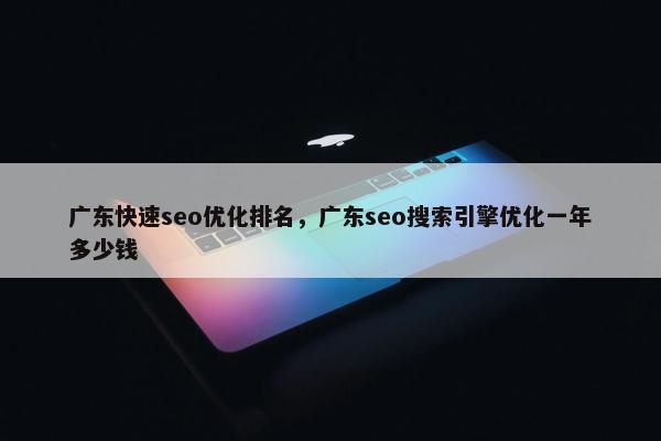 广东快速seo优化排名，广东seo搜索引擎优化一年多少钱